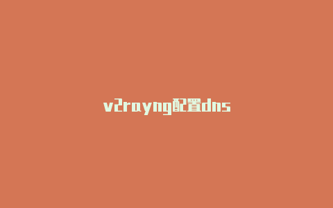 v2rayng配置dns