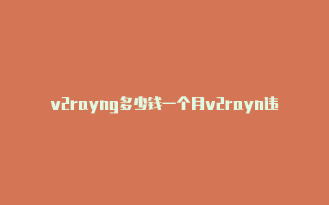 v2rayng多少钱一个月v2rayn违法吗