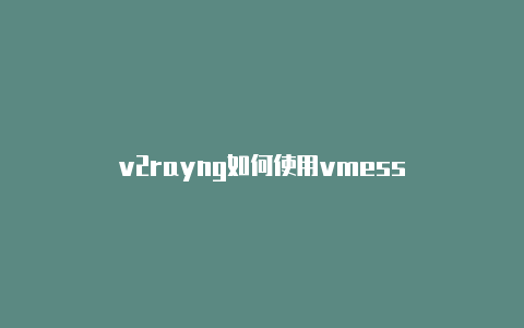 v2rayng如何使用vmess-v2rayng