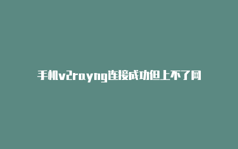 手机v2rayng连接成功但上不了网