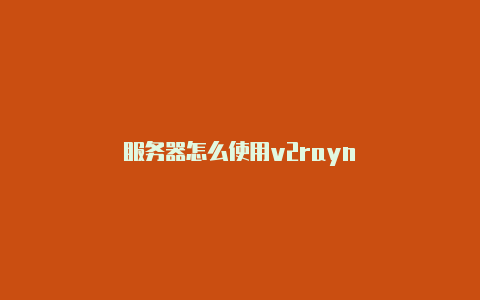 服务器怎么使用v2rayn