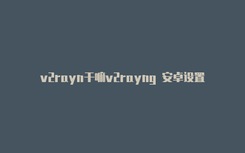 v2rayn干嘛v2rayng 安卓设置的