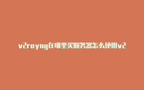 v2rayng在哪里买服务器怎么使用v2rayn