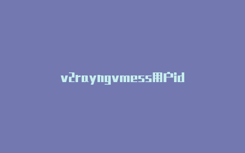 v2rayngvmess用户id-v2rayng