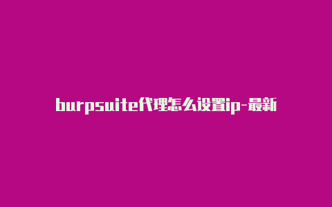 burpsuite代理怎么设置ip-最新免费http代理ip天天更新