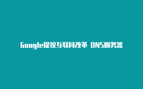 Google提议互联网改革 DNS服务器新规则【v2rayn设置全局】-v2rayng