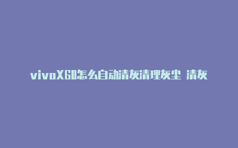 vivoX60怎么自动清灰清理灰尘 清灰功能开启设置教程【v2rayn设置参数】-v2rayng