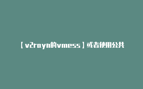 【v2rayn的vmess】或者使用公共 DNS
