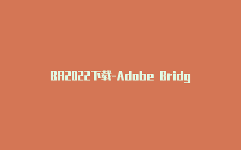 BR2022下载-Adobe Bridge 2021官方版 一键下载永久使用【v2rayng怎么搭建站点】