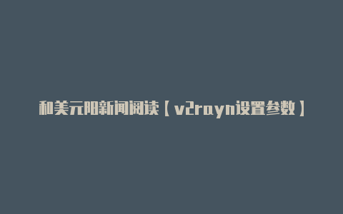 和美元阳新闻阅读【v2rayn设置参数】