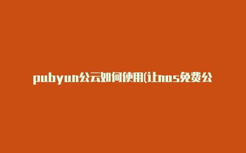 pubyun公云如何使用(让nas免费公网访问 pppoe)【v2rayng安卓设置dns】-v2rayng