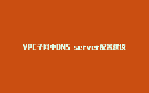 VPC子网中DNS server配置建议【v2rayn红色】