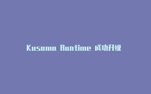 Kusama Runtime 成功升级 v9030Shell 运行稳定【v2rayn手机版苹果版】