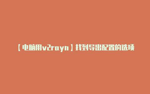 【电脑用v2rayn】找到导出配置的选项-v2rayng
